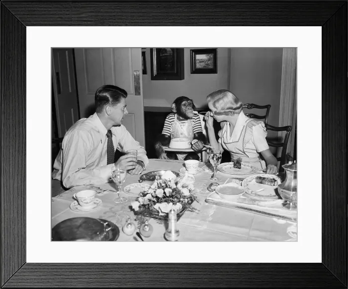 Framed Print : R Reagan / Diana Lynn / Bonzo At Dinner Table Framed Print : R Reagan / Diana Lynn / Bonzo At Dinner Table