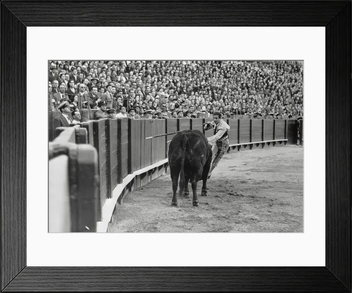 Framed Print : Bullfighter Antonio Ordonez About to Kill A Bull Framed Print : Bullfighter Antonio Ordonez About to Kill A Bull