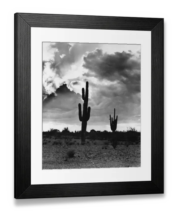 Framed Print : The Desert'- Photo By Sen. B.Goldwater Framed Print : The Desert'- Photo By Sen. B.Goldwater