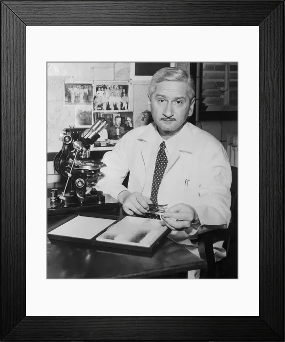 Framed Print : Dr. Albert Sabin Sitting at his Desk Framed Print : Dr. Albert Sabin Sitting at his Desk