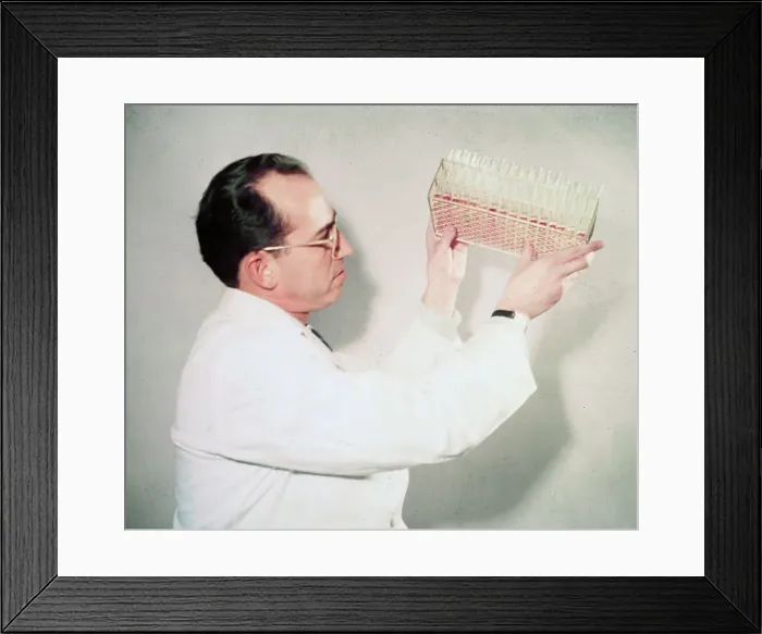 Framed Print : Scientist Jonas Salk Examining Vials Framed Print : Scientist Jonas Salk Examining Vials