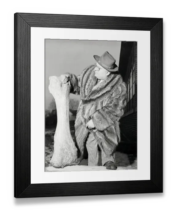 Framed Print : Dinosaur bone