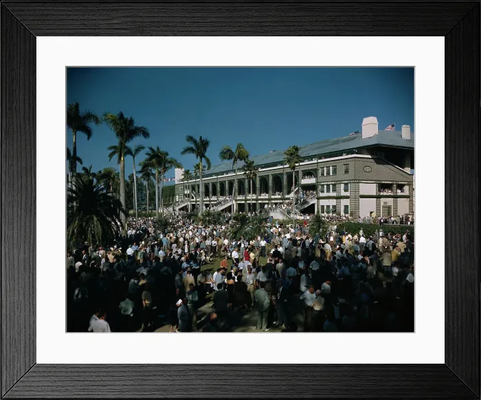 Framed Print : Crowd at Hialeah Park Race Track Framed Print : Crowd at Hialeah Park Race Track