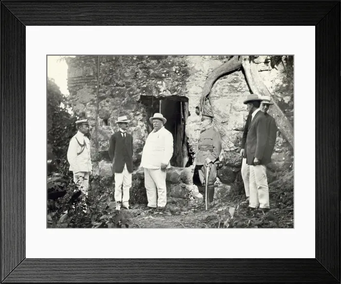 Framed Print : William Taft Standing In Jungle Framed Print : William Taft Standing In Jungle
