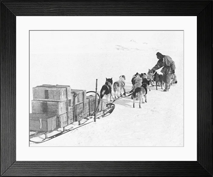 Framed Print : Robert Falcon Scott Preparing for Expedition Framed Print : Robert Falcon Scott Preparing for Expedition