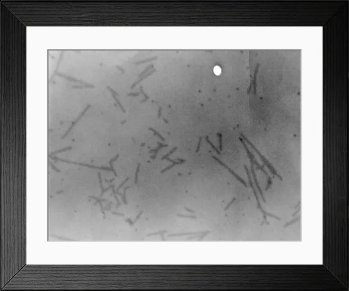 Framed Print : View of Microscopic View of Influenza Framed Print : View of Microscopic View of Influenza