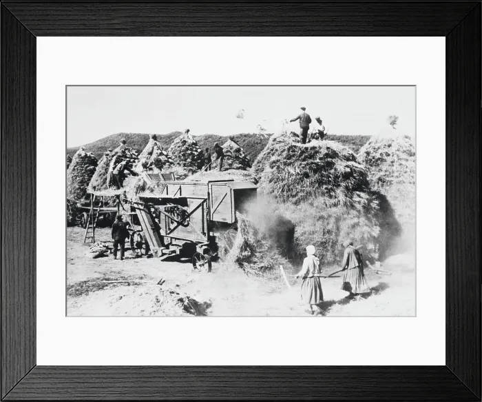 Framed Print : Siberian Farmers Working Framed Print : Siberian Farmers Working