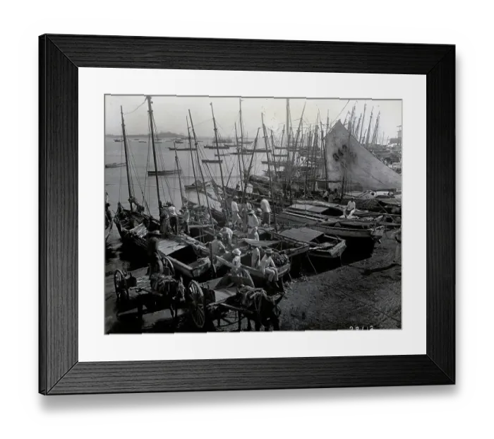 Framed Print : Sailboats & Mule Carts At Boat Market Framed Print : Sailboats & Mule Carts At Boat Market