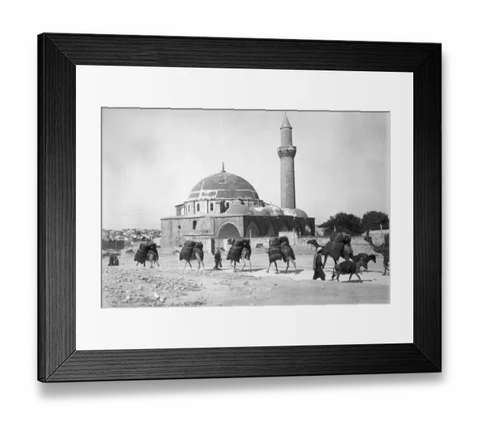 Framed Print : Camel Caravan Passing Outside City Framed Print : Camel Caravan Passing Outside City