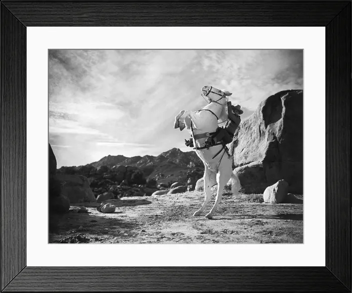 Framed Print : Man On Rearing Horse In Desert Landscape Framed Print : Man On Rearing Horse In Desert Landscape