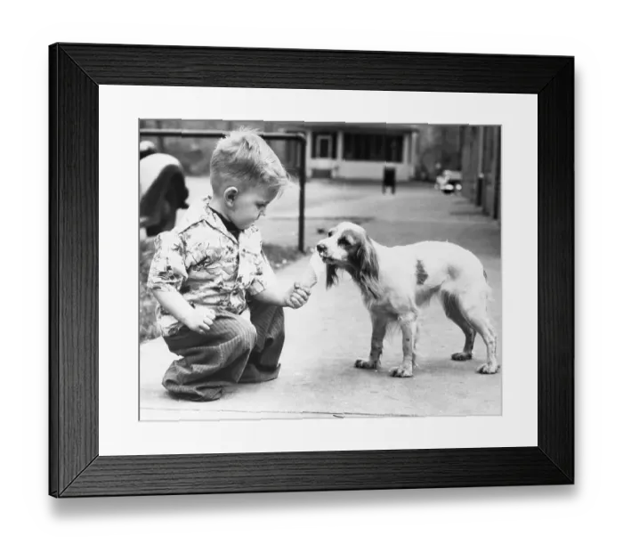 Framed Print : Boy (6-7) giving ice cream to dog