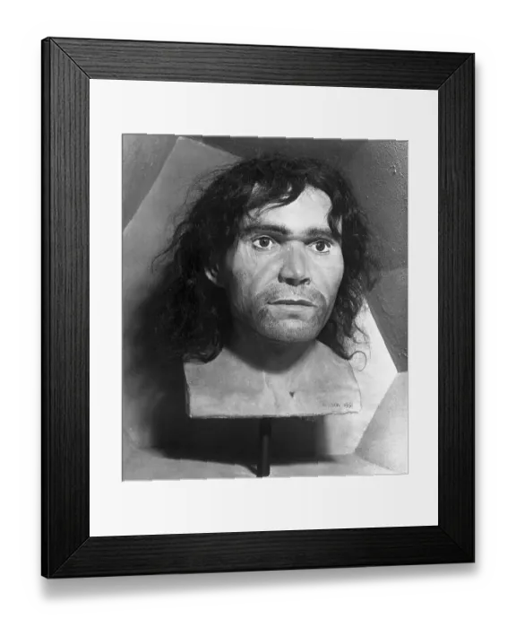 Framed Print : Head of Cro-Magnon Framed Print : Head of Cro-Magnon