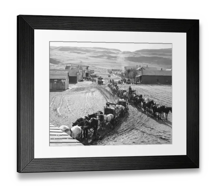 Framed Print : Wagon Train Driving Through Town Framed Print : Wagon Train Driving Through Town