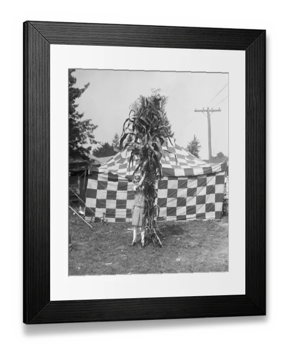 Framed Print : Young girl (10-12) posing with giant maze Framed Print : Young girl (10-12) posing with giant maze