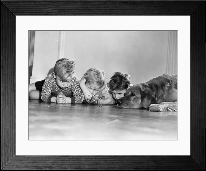 Framed Print : Children (4-5) Watching Mechanical Spider