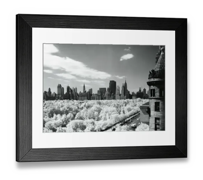 Framed Print : View of Central Park, New York City, New York State, USA Framed Print : View of Central Park, New York City, New York State, USA