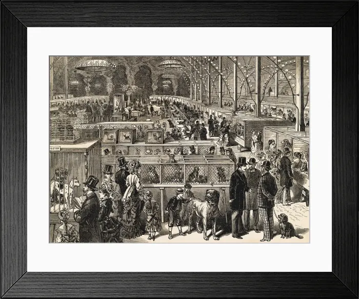 Framed Print : Victorian Dog Show Framed Print : Victorian Dog Show