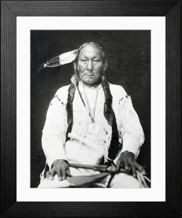 Framed Print : Magpie of the Cheyenne Framed Print : Magpie of the Cheyenne