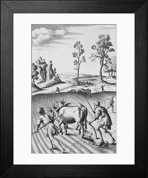 Framed Print : Engraving of Strip Farming by Wenceslaus Hollar