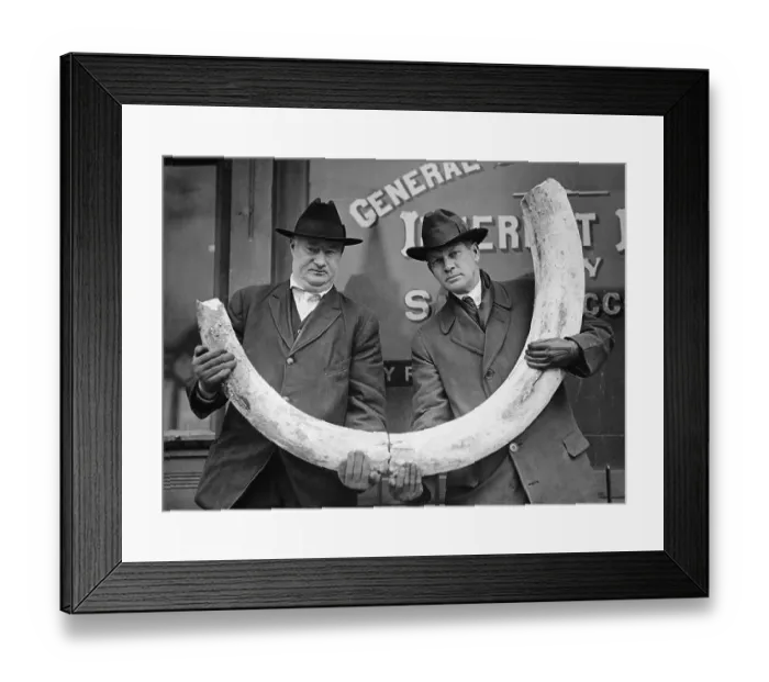 Framed Print : Men Displaying Mastodon Tusk Framed Print : Men Displaying Mastodon Tusk
