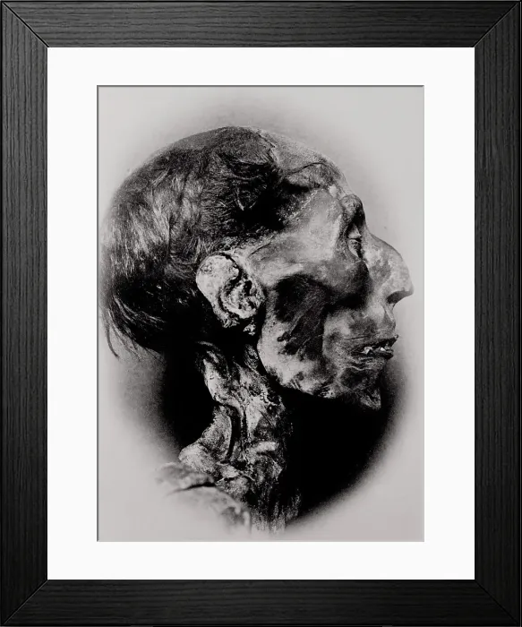 Framed Print : Display of a Mummy's Head Framed Print : Display of a Mummy's Head