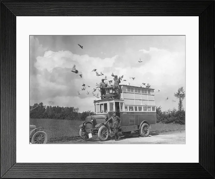 Framed Print : Mobile Carrier Pigeon Station Framed Print : Mobile Carrier Pigeon Station