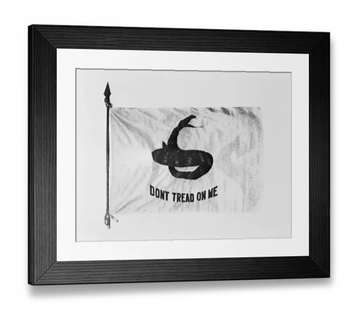 Framed Print : Don't Tread on Me Flag Framed Print : Don't Tread on Me Flag