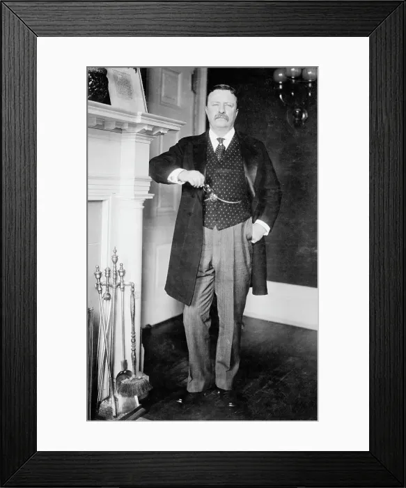 Framed Print : President Theodore Rooselt Framed Print : President Theodore Rooselt