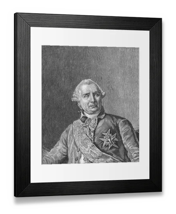 Framed Print : Portrait of Charles Gravier Framed Print : Portrait of Charles Gravier