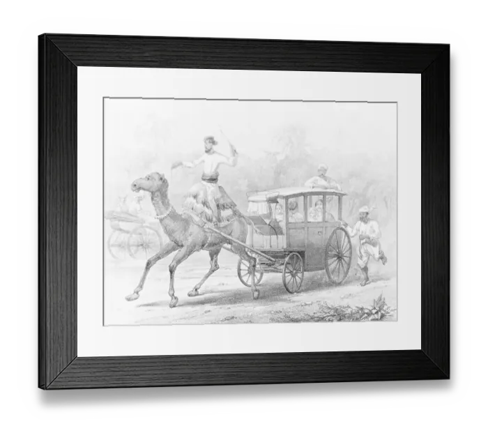 Framed Print : People Riding in Camel Drawn Coach Framed Print : People Riding in Camel Drawn Coach
