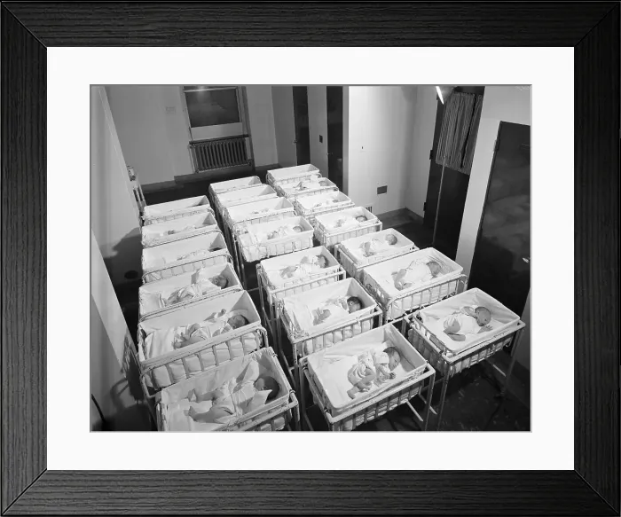 Framed Print : Newborn Babies Framed Print : Newborn Babies