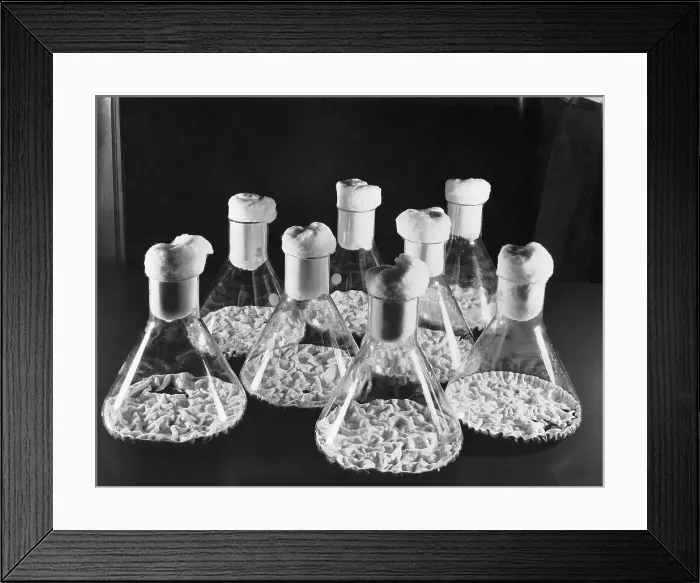 Framed Print : Flasks Of Charles Pfizer Co / Materials Framed Print : Flasks Of Charles Pfizer Co / Materials