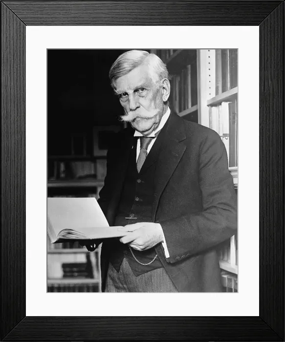 Framed Print : Supreme Court Justice Oliver Wendell Holmes, Jr Framed Print : Supreme Court Justice Oliver Wendell Holmes, Jr