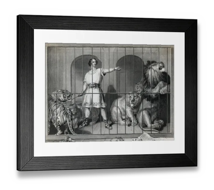 Framed Print : Man Taming Lions Framed Print : Man Taming Lions