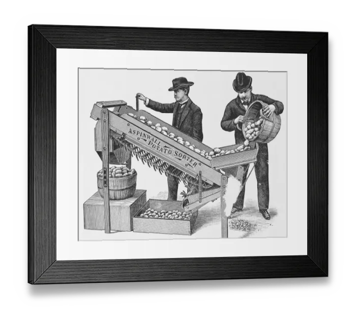 Framed Print : Two Men Using a Potato Sorting Machine Framed Print : Two Men Using a Potato Sorting Machine