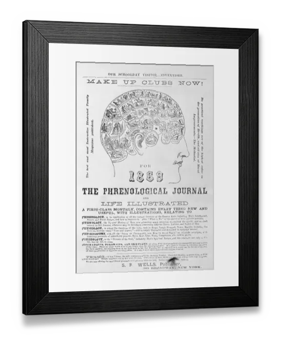 Framed Print : Head From 1869 Phrenological Journal Framed Print : Head From 1869 Phrenological Journal