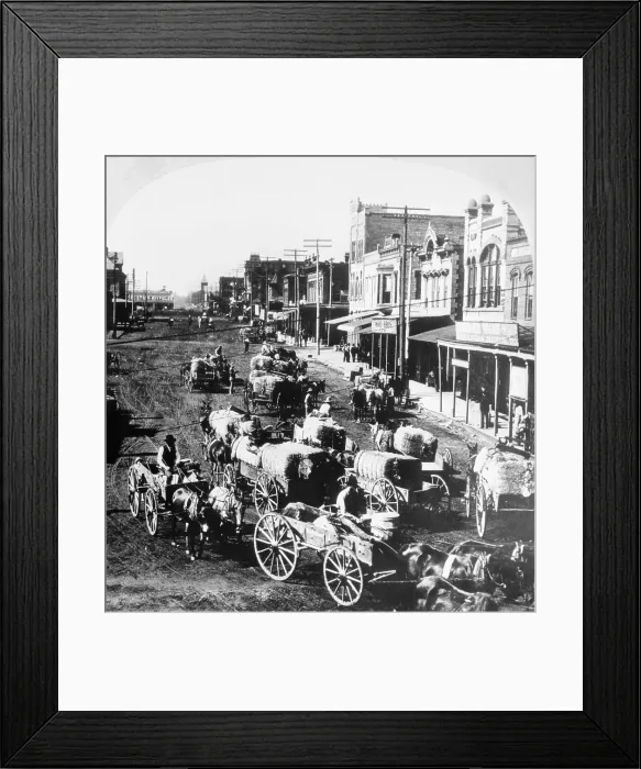 Framed Print : People Delivering Cotton on Wagons Framed Print : People Delivering Cotton on Wagons