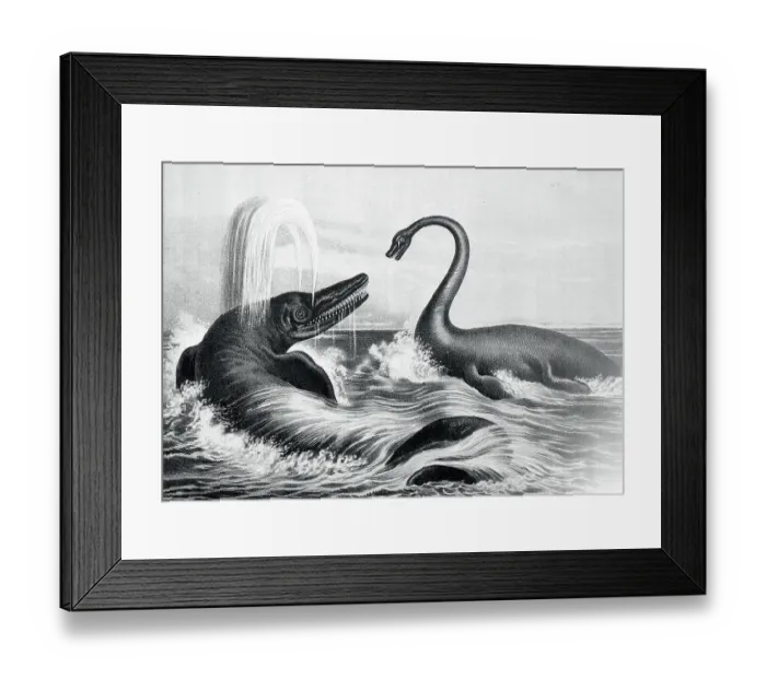 Framed Print : Prehistoric Creatures in Water Framed Print : Prehistoric Creatures in Water