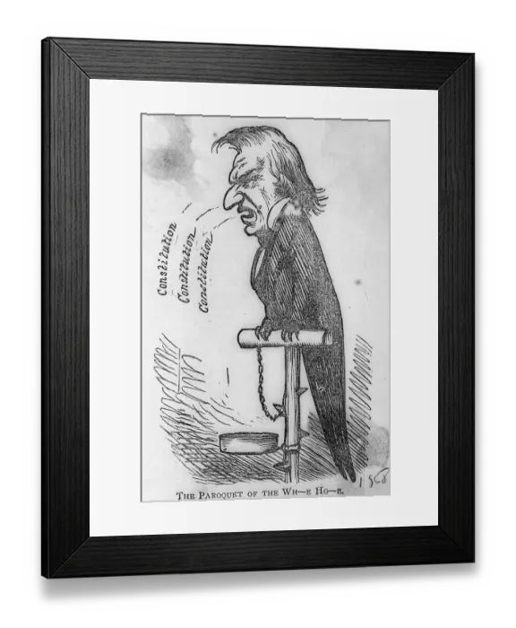 Framed Print : Cartoon of Andrew Johnson as Parrot Framed Print : Cartoon of Andrew Johnson as Parrot