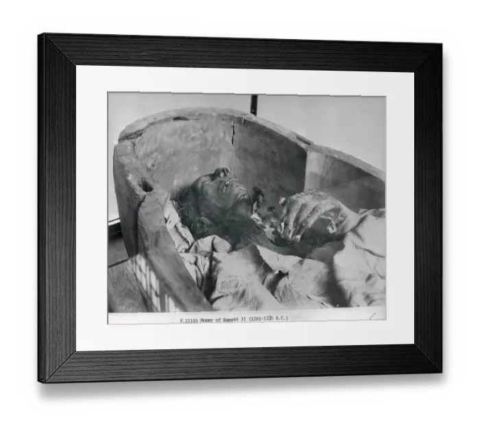 Framed Print : Mummy of Ramses II King of 19th Dynasty of Egypt Framed Print : Mummy of Ramses II King of 19th Dynasty of Egypt