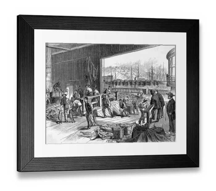 Framed Print : Workers Unloading Fish Framed Print : Workers Unloading Fish