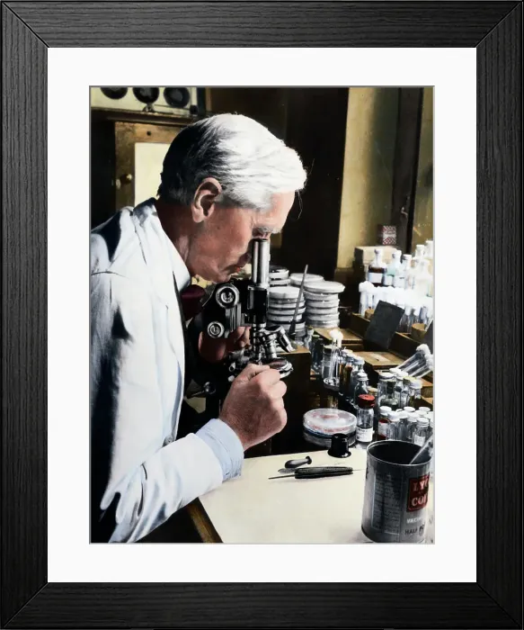 Framed Print : Alexander Fleming at Microscope