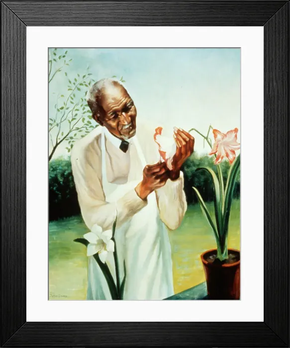 Framed Print : George Washington Carver Framed Print : George Washington Carver