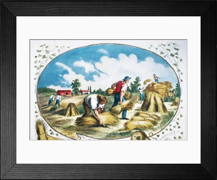 Framed Print : 19th-Century Print of Farmers Harvesting Crops Framed Print : 19th-Century Print of Farmers Harvesting Crops
