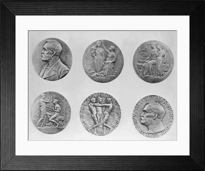 Framed Print : Six Views of Nobel Medals Framed Print : Six Views of Nobel Medals