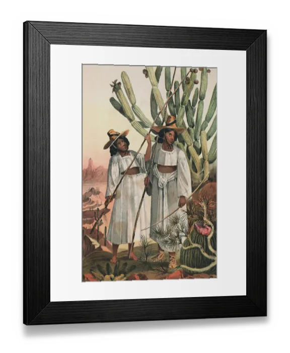 Framed Print : Portrait of Papago Indians Framed Print : Portrait of Papago Indians