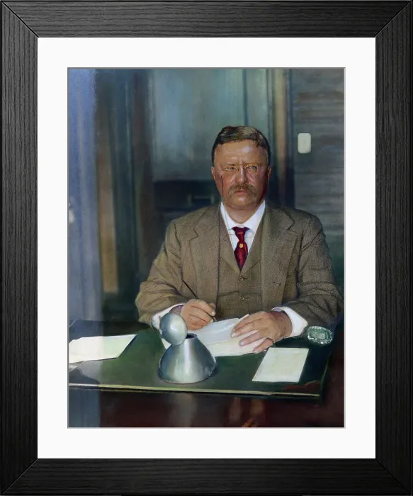 Framed Print : Portrait of Theodore Roosevelt Framed Print : Portrait of Theodore Roosevelt