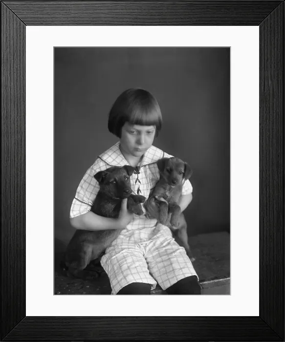 Framed Print : Sad girl with two puppies, studio shot Framed Print : Sad girl with two puppies, studio shot