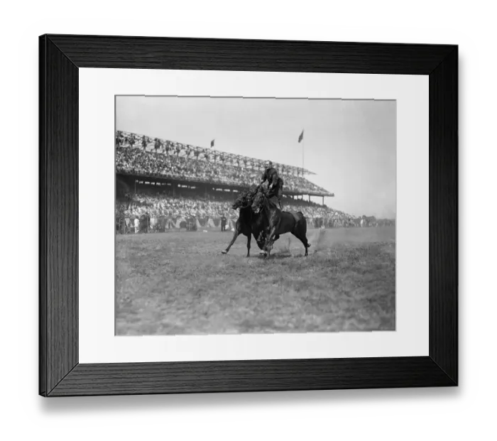 Framed Print : Man performer riding on two horses Framed Print : Man performer riding on two horses