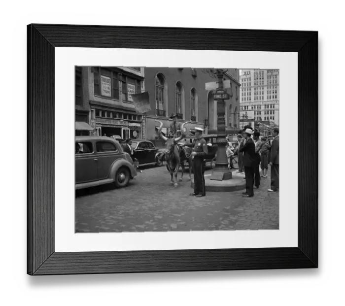 Framed Print : Man on bull on city street